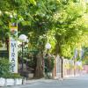 hotel mirage bellaria