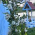 denizli