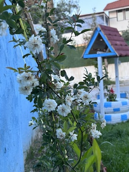 denizli