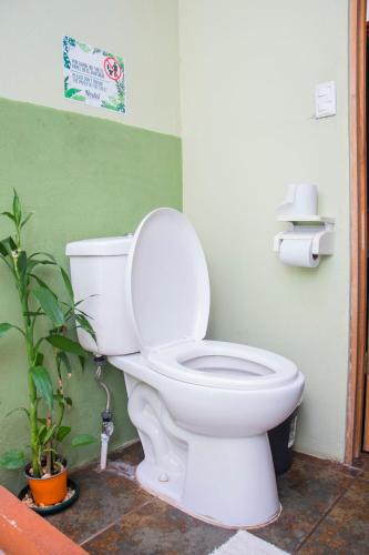 gardens house airport juan santamara a alajuela