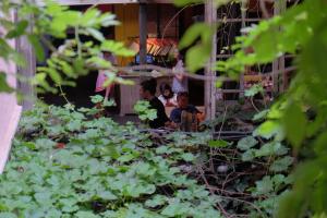 blueberry nights hotel