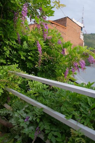 blueberry nights hotel