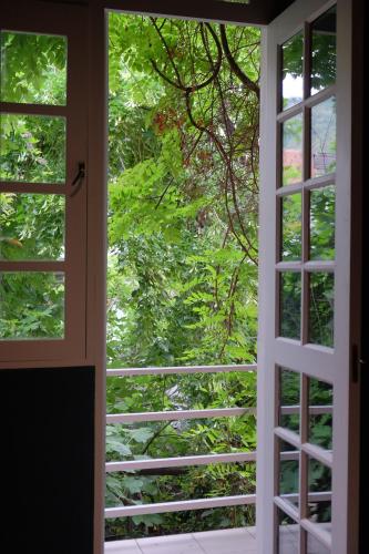 blueberry nights hotel