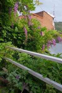 blueberry nights hotel