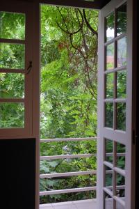 blueberry nights hotel