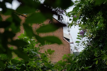 blueberry nights hotel