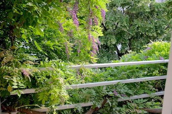 blueberry nights hotel