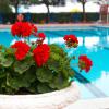 hotel principe