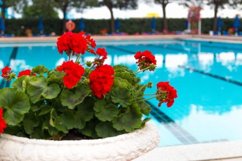 hotel principe