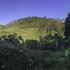 arte de plumas birding lodge