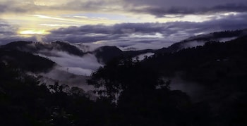 arte de plumas birding lodge