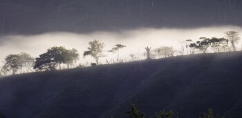 arte de plumas birding lodge