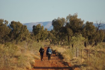 hale