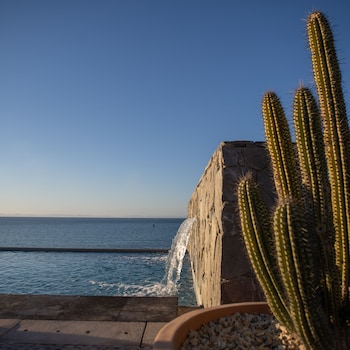 orchid house baja and beach club