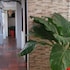 puntarenas