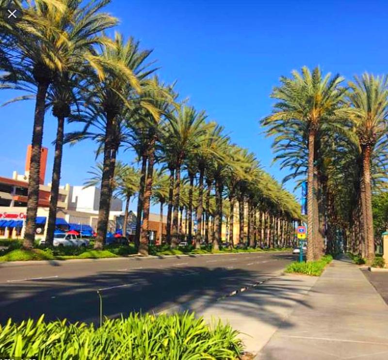 anaheim