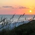 santa rosa beach