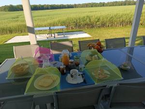 le domaine des hirondelles