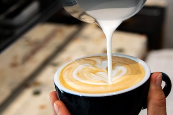 hotel du centre un hotel ammi