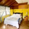 coco mango suites