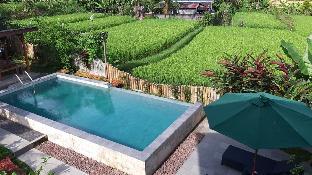 the champuhan villa honeymoon villa with rice field view