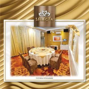 selecta hotel medan