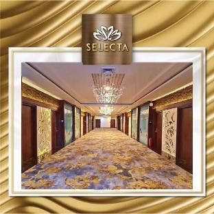 selecta hotel medan