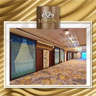selecta hotel medan