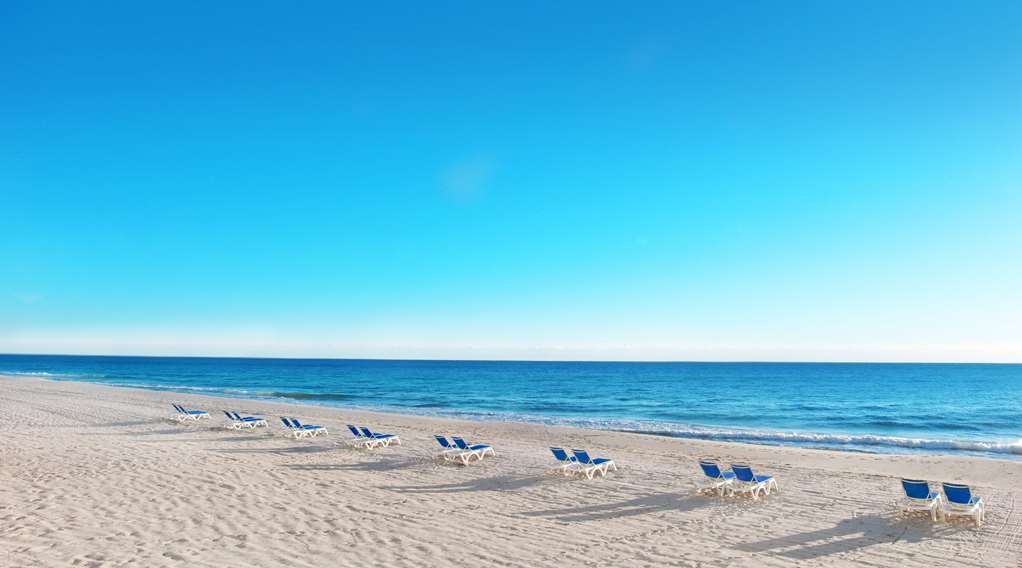 pelican grand beach resort a noble house resort