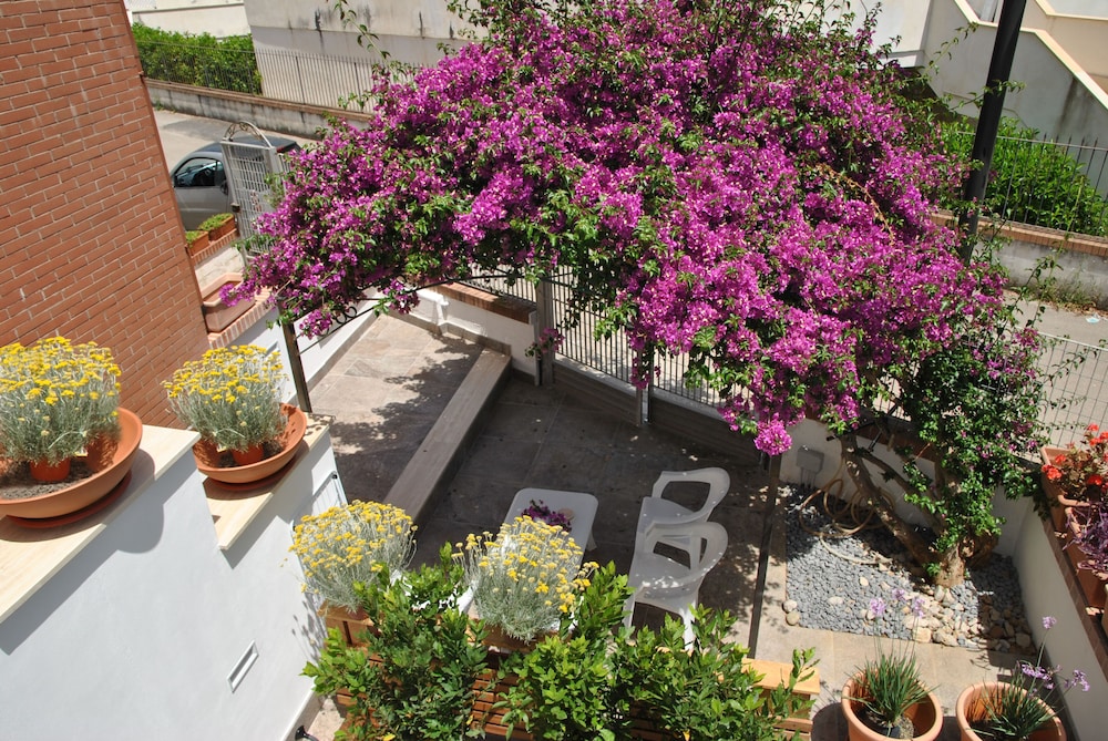 la bouganville studio 400 m from the sea