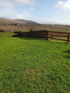 sneem
