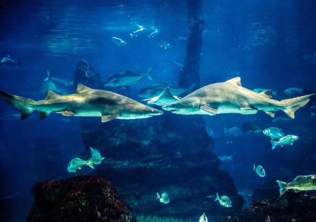 fontanella by bcn urban rooms