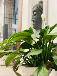 markee hotel boutique