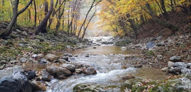 inje leenchung pension