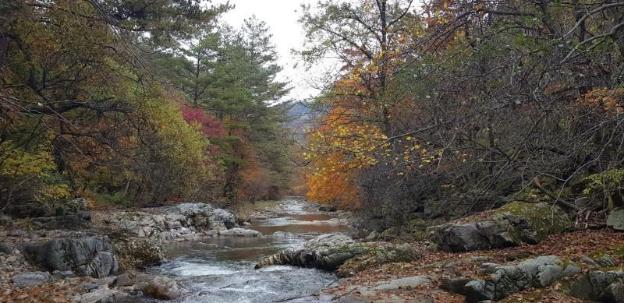 inje leenchung pension