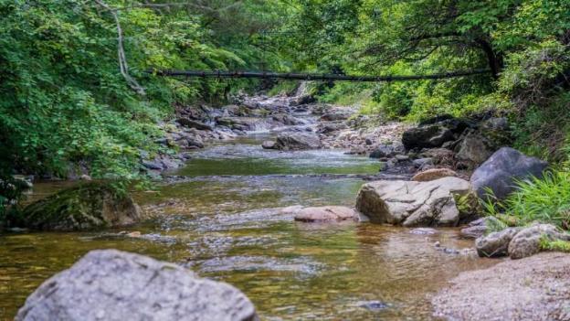 inje leenchung pension