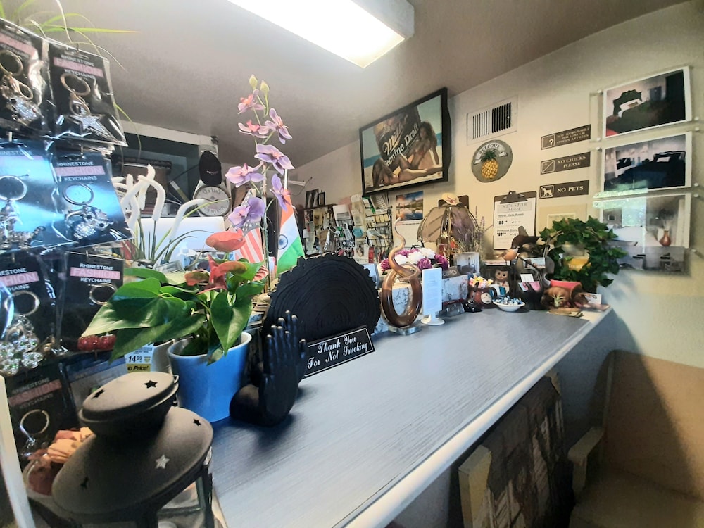 the new star motel 1950s retro lodging and retreat center