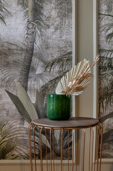 holt baloo and bagheera