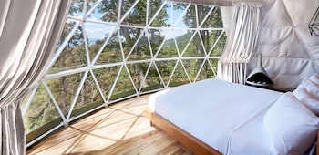 the glamping collective