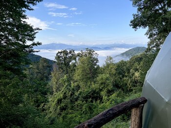the glamping collective