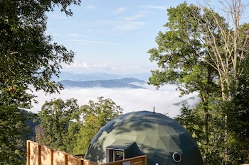the glamping collective