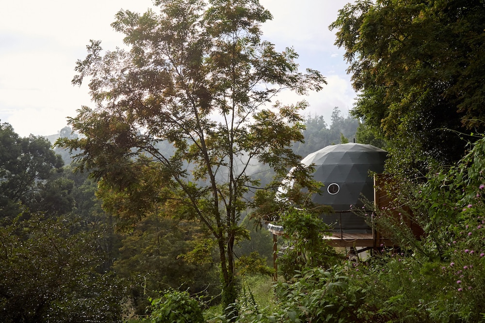 the glamping collective