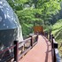 the glamping collective