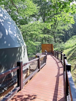 the glamping collective