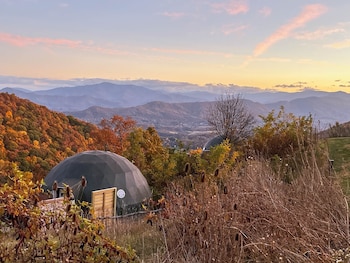 the glamping collective
