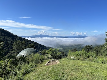the glamping collective