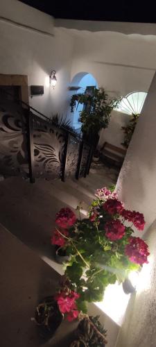 queretaro