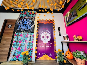 barrio downtown mexico city hostel