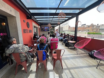 barrio downtown mexico city hostel