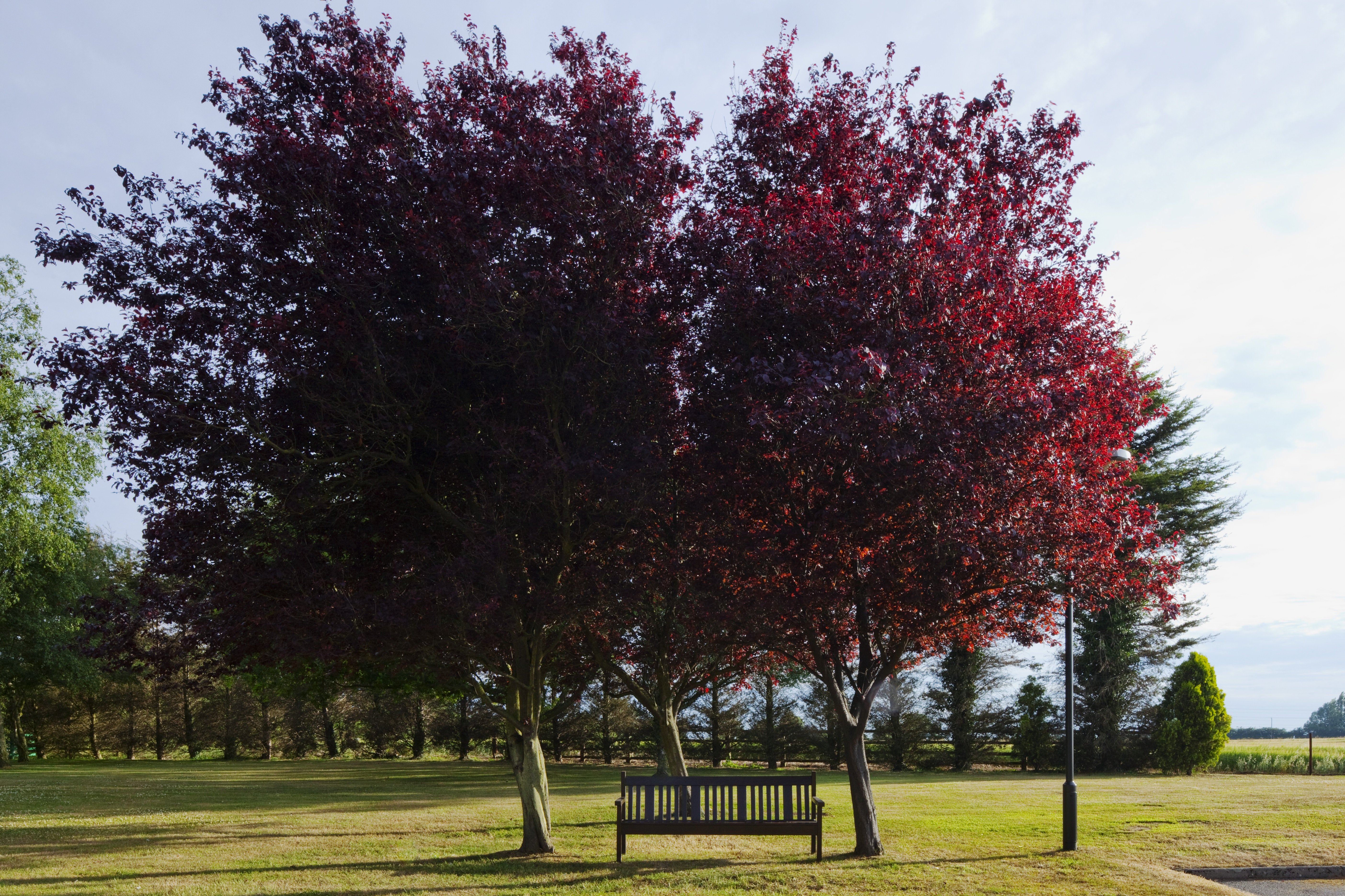 holiday inn ipswich by ihg